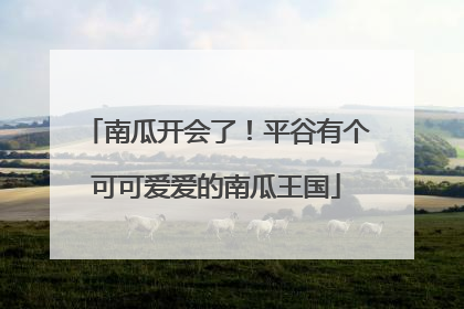南瓜开会了！平谷有个可可爱爱的南瓜王国