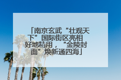 南京玄武“壮观天下”国际街区亮相 好地精用，“金陵封面”焕新通四海
