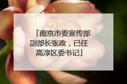 南京市委宣传部副部长张政，已任高淳区委书记