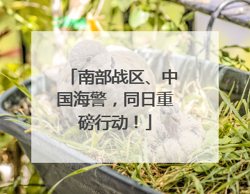 南部战区、中国海警，同日重磅行动！