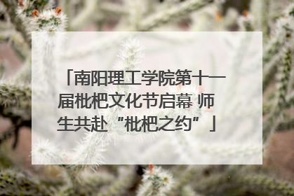 南阳理工学院第十一届枇杷文化节启幕 师生共赴“枇杷之约”