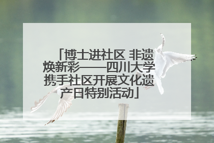 博士进社区 非遗焕新彩——四川大学携手社区开展文化遗产日特别活动
