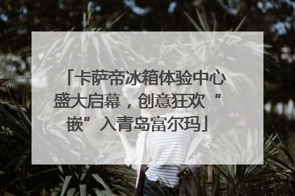 卡萨帝冰箱体验中心盛大启幕，创意狂欢“嵌”入青岛富尔玛