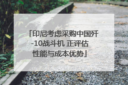 印尼考虑采购中国歼-10战斗机 正评估性能与成本优势
