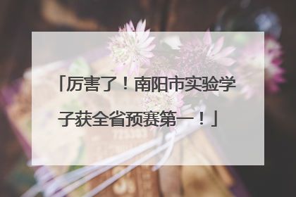 厉害了！南阳市实验学子获全省预赛第一！