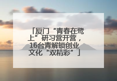 厦门“青春在鹭上”研习营开营，16台青解锁创业文化“双精彩”