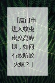 厦门市进入蚊虫密度高峰期，如何有效防蚊灭蚊？