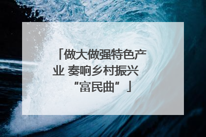 做大做强特色产业 奏响乡村振兴“富民曲”