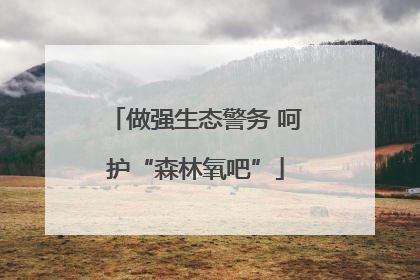 做强生态警务 呵护“森林氧吧”