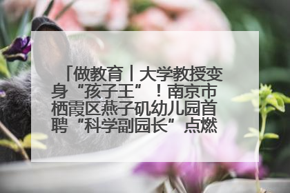 做教育︱大学教授变身“孩子王”！南京市栖霞区燕子矶幼儿园首聘“科学副园长”点燃萌娃科学梦