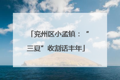 兖州区小孟镇：“三夏”收割话丰年