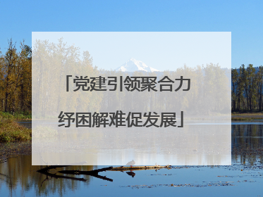 党建引领聚合力 纾困解难促发展