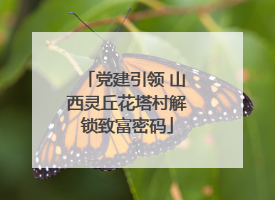 党建引领 山西灵丘花塔村解锁致富密码