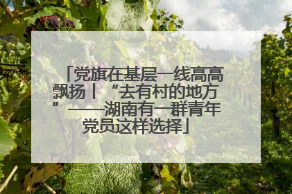 党旗在基层一线高高飘扬丨“去有村的地方”——湖南有一群青年党员这样选择