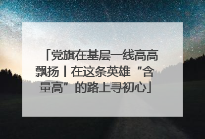 党旗在基层一线高高飘扬丨在这条英雄“含量高”的路上寻初心