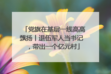 党旗在基层一线高高飘扬丨退伍军人当书记，带出一个亿元村