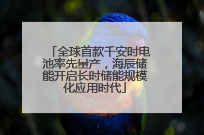 全球首款千安时电池率先量产，海辰储能开启长时储能规模化应用时代