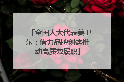 全国人大代表姜卫东：借力品牌创建推动高质效履职