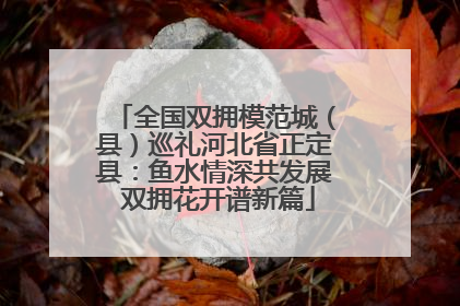 全国双拥模范城（县）巡礼河北省正定县：鱼水情深共发展 双拥花开谱新篇