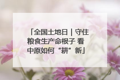 全国土地日｜守住粮食生产命根子 看中原如何“耕”新
