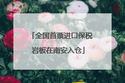 全国首票进口保税岩板在南安入仓