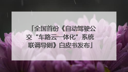 全国首份《自动驾驶公交“车路云一体化”系统联调导则》白皮书发布