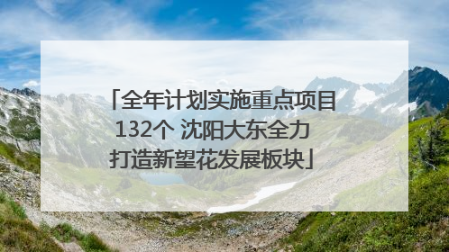 全年计划实施重点项目132个 沈阳大东全力打造新望花发展板块