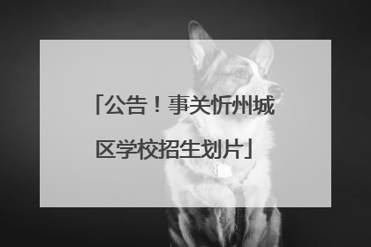 公告！事关忻州城区学校招生划片