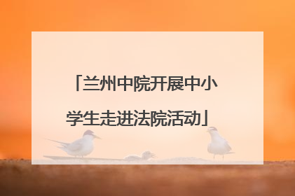 兰州中院开展中小学生走进法院活动