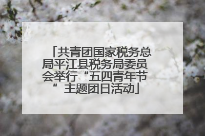共青团国家税务总局平江县税务局委员会举行“五四青年节”主题团日活动