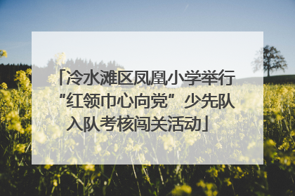 冷水滩区凤凰小学举行“红领巾心向党”少先队入队考核闯关活动
