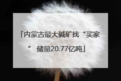 内蒙古最大碱矿找“买家” 储量20.77亿吨