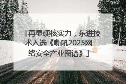 再显硬核实力，东进技术入选《嘶吼2025网络安全产业图谱》