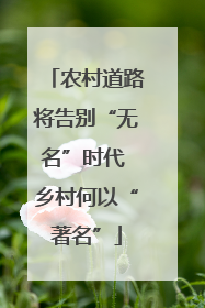 农村道路将告别“无名”时代 乡村何以“著名”