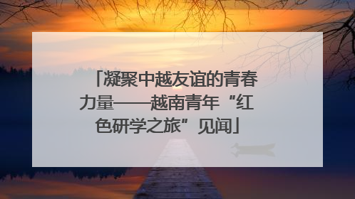 凝聚中越友谊的青春力量——越南青年“红色研学之旅”见闻
