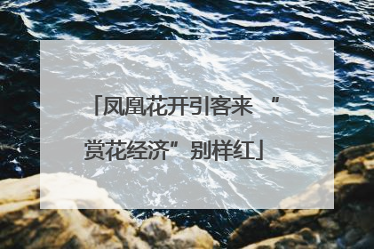 凤凰花开引客来 “赏花经济”别样红