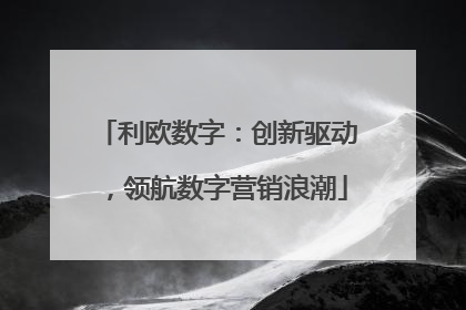 利欧数字：创新驱动，领航数字营销浪潮