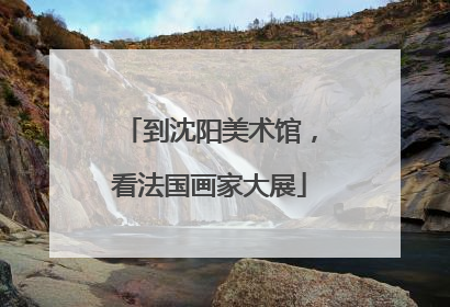 到沈阳美术馆，看法国画家大展