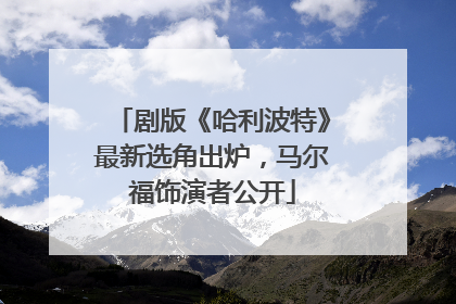 剧版《哈利波特》最新选角出炉，马尔福饰演者公开