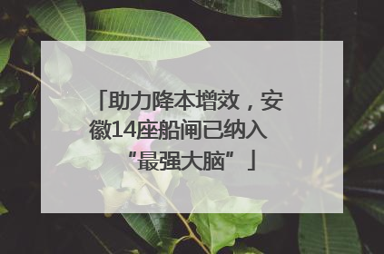 助力降本增效，安徽14座船闸已纳入“最强大脑”