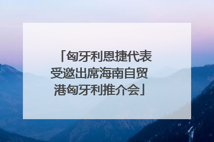 匈牙利恩捷代表受邀出席海南自贸港匈牙利推介会