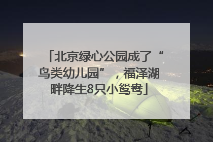 北京绿心公园成了“鸟类幼儿园”，福泽湖畔降生8只小鸳鸯