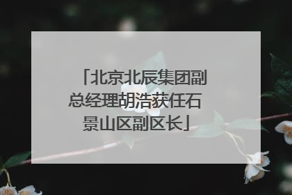 北京北辰集团副总经理胡浩获任石景山区副区长