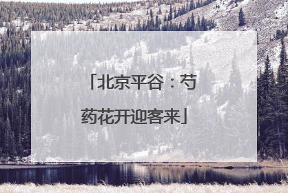 北京平谷：芍药花开迎客来