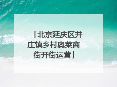 北京延庆区井庄镇乡村奥莱商街开街运营