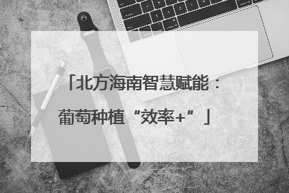 北方海南智慧赋能：葡萄种植“效率+”