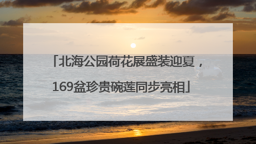 北海公园荷花展盛装迎夏，169盆珍贵碗莲同步亮相