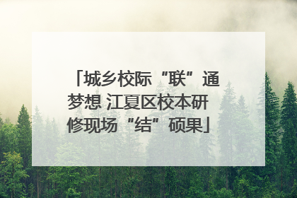 城乡校际“联”通梦想 江夏区校本研修现场“结”硕果