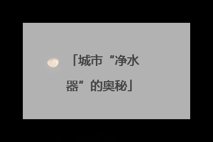 城市“净水器”的奥秘