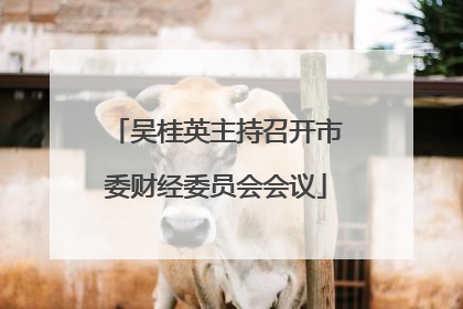 吴桂英主持召开市委财经委员会会议